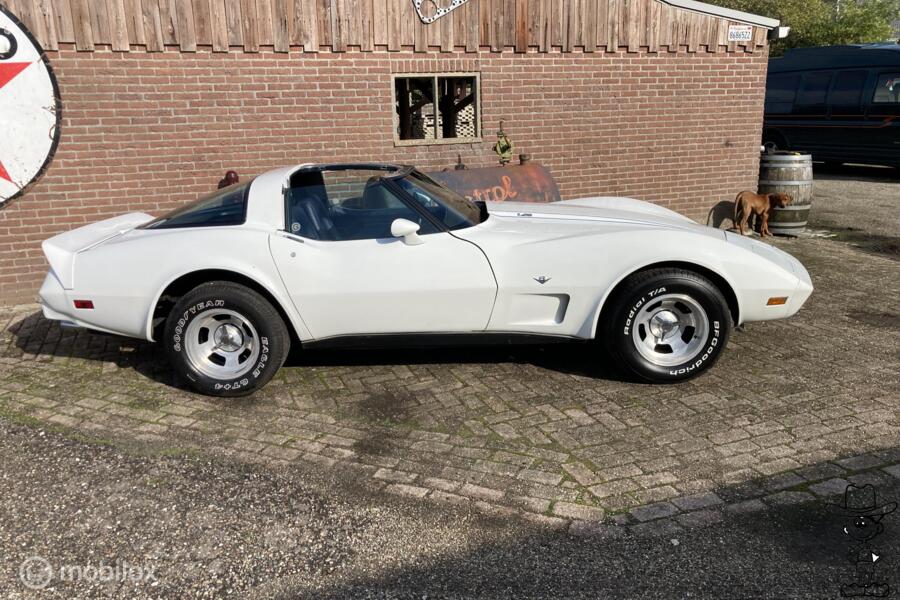Chevrolet USA Corvette C3 v8 Targa 1979