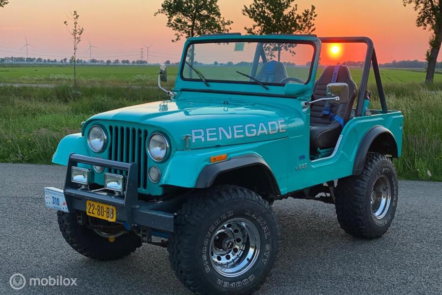 Jeep CJ5 4.2L 6 Cylinder Renegade 4x4 BJ 1975