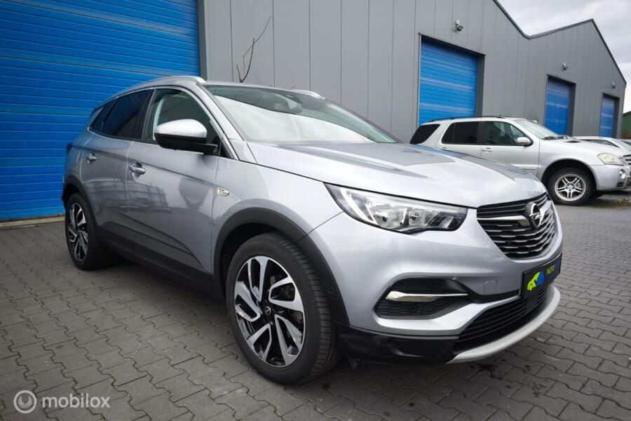 Opel Grandland X 1.2 Turbo /  Innovation / Dealer Onderhouden / 1 ste Eigenaar /