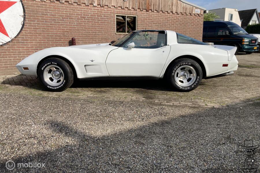 Chevrolet USA Corvette C3 v8 Targa 1979