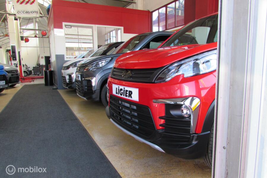 Microcar  M.GO 6 X  DCI