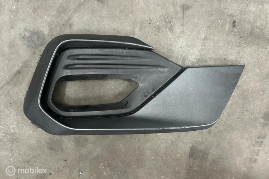 Afdekkap mistlamp rechtsvoor Ford Fiesta VIII ST-line(18-22