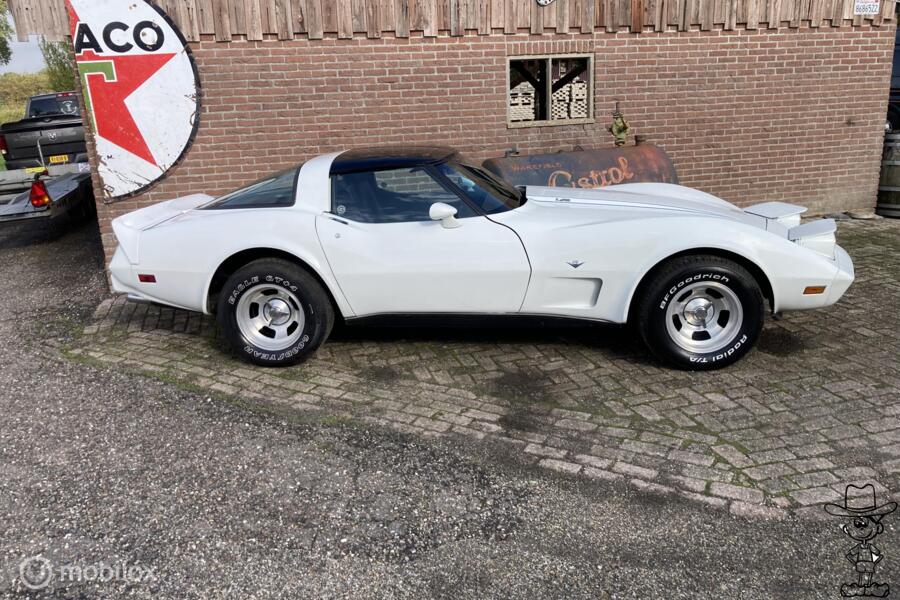 Chevrolet USA Corvette C3 v8 Targa 1979