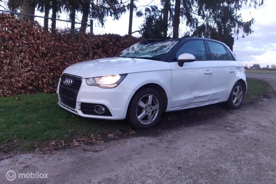Audi A1 Sportback 1.2 TFSI Ambition Pro Line Business Audi A1 Sportback 1.2 TFSI Ambition Pro Line Business