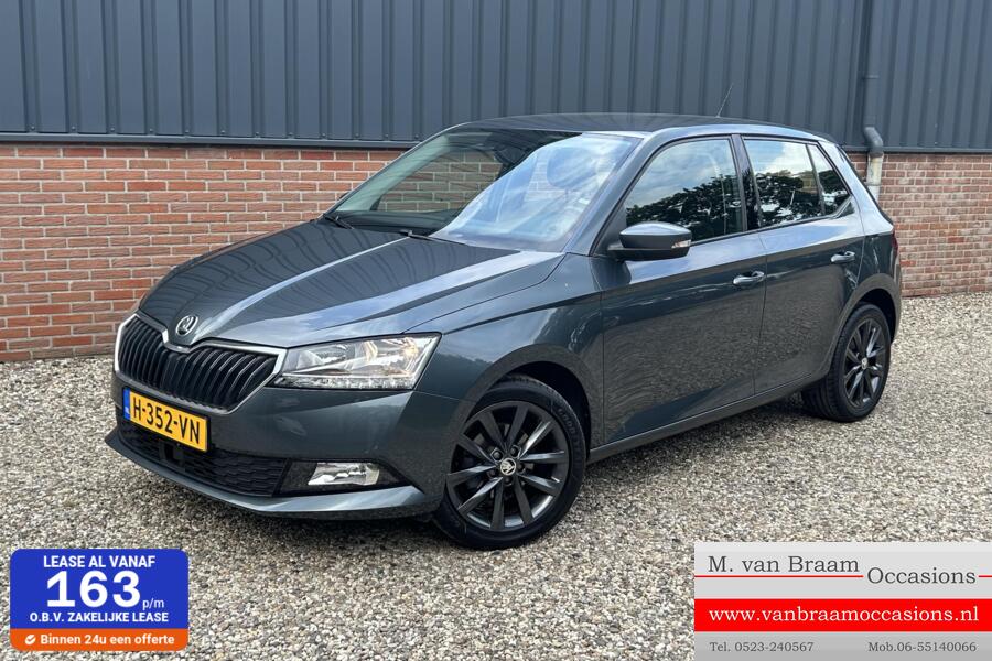 Skoda Fabia 1.0 TSI Business Ecc/Pdc/Navigatei/Trekhaak