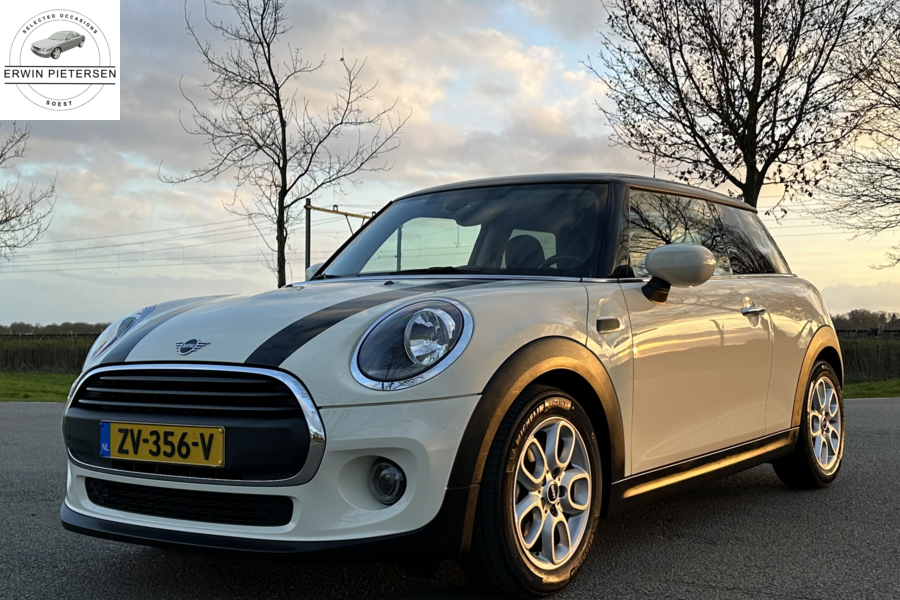 Mini Mini 1.5 One