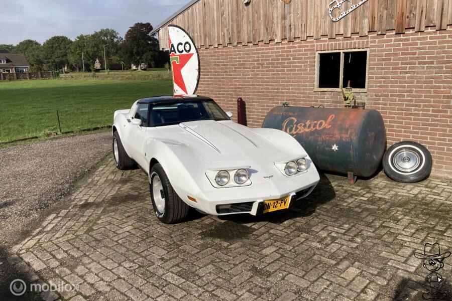 Chevrolet USA Corvette C3 v8 Targa 1979