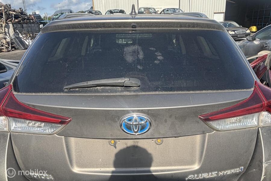 Achterklep Toyota Auris Touring Sports ('13-'19)