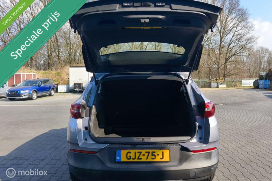 Opel Grandland X  / 1.2 / Turbo / Dealer onderhouden / Zuinig /