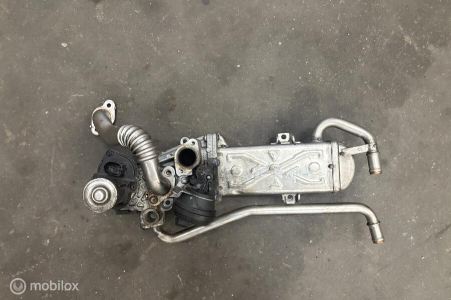 EGR koeler Volkswagen Polo 6R 1.2 TDI(09-14) 03P 131 512 D