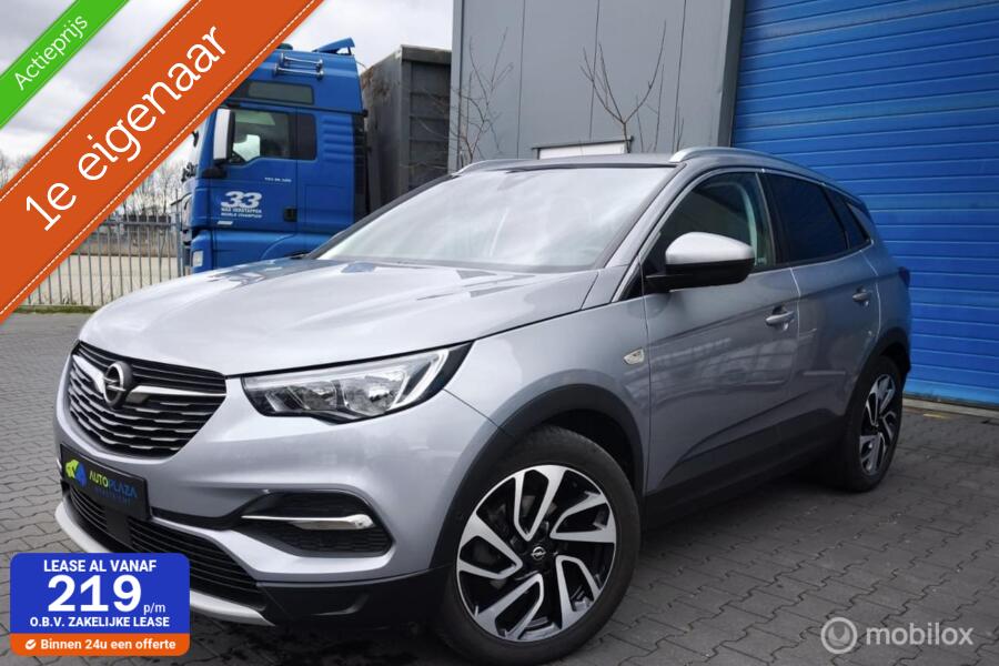 Opel Grandland X 1.2 Turbo /  Innovation / Dealer Onderhouden / 1 ste Eigenaar /