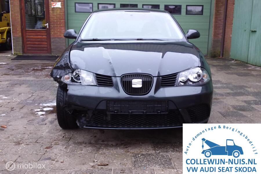 Seat Ibiza 1.4-16V 25 Edition I Seat Ibiza 1.4-16V 25 Edition I
