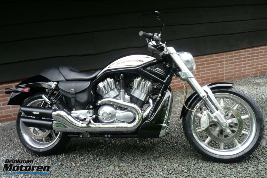 Zeer nette VRSCR V-Rod V Rod