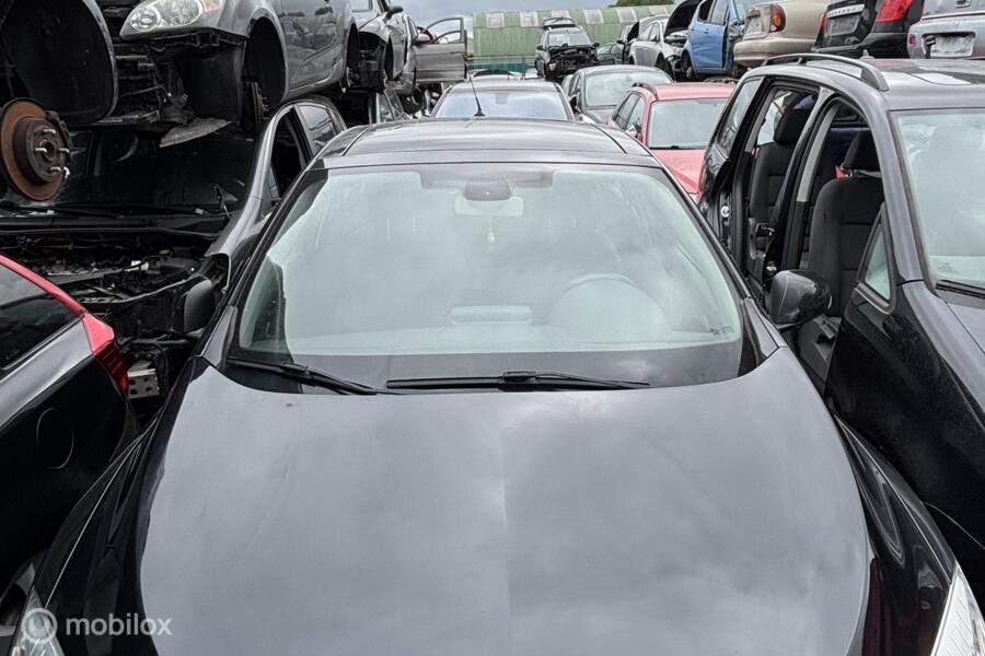 Motorkap Renault Megane Estate III ('09-'16)