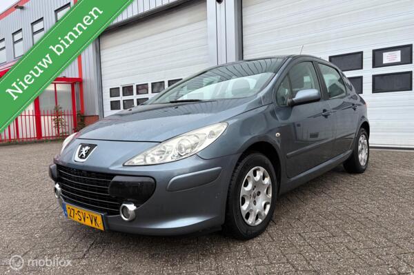 Peugeot 307 1.6-16V XS AUTOMAAT/ECC/ELEK RMN/CRUISE/NAP/APK
