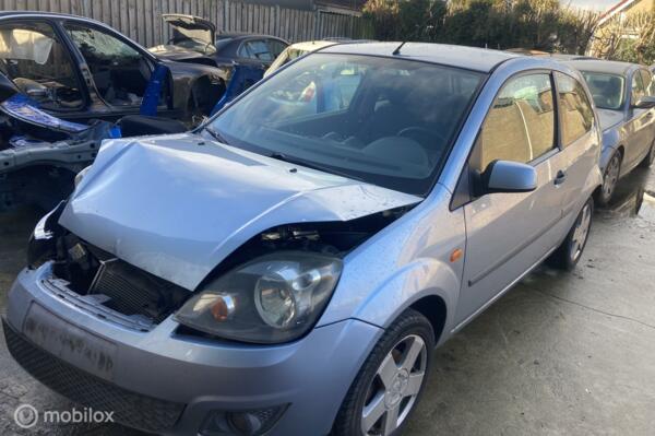 Ford Fiesta 1.3-8V Style