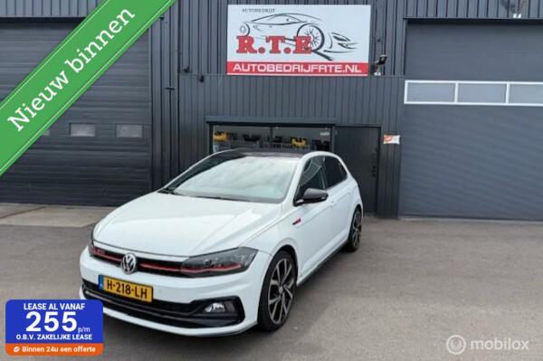 Volkswagen Polo 2.0 TSI GTI