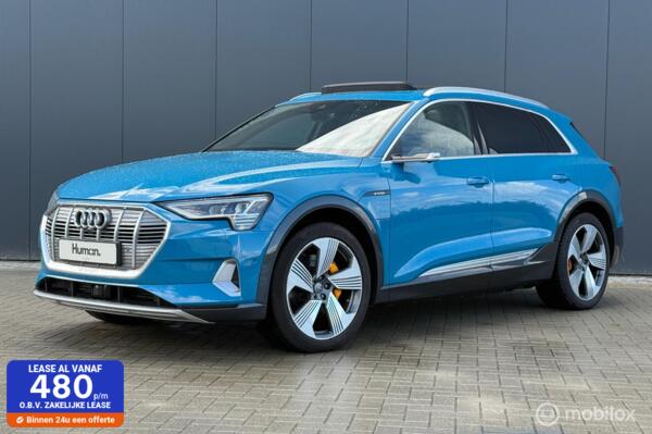Audi e-tron e-tron 55 quattro advanced Pro Line Plus 95 kWh