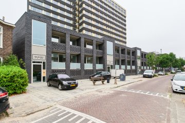 apartments for rent on Witte de Withstraat