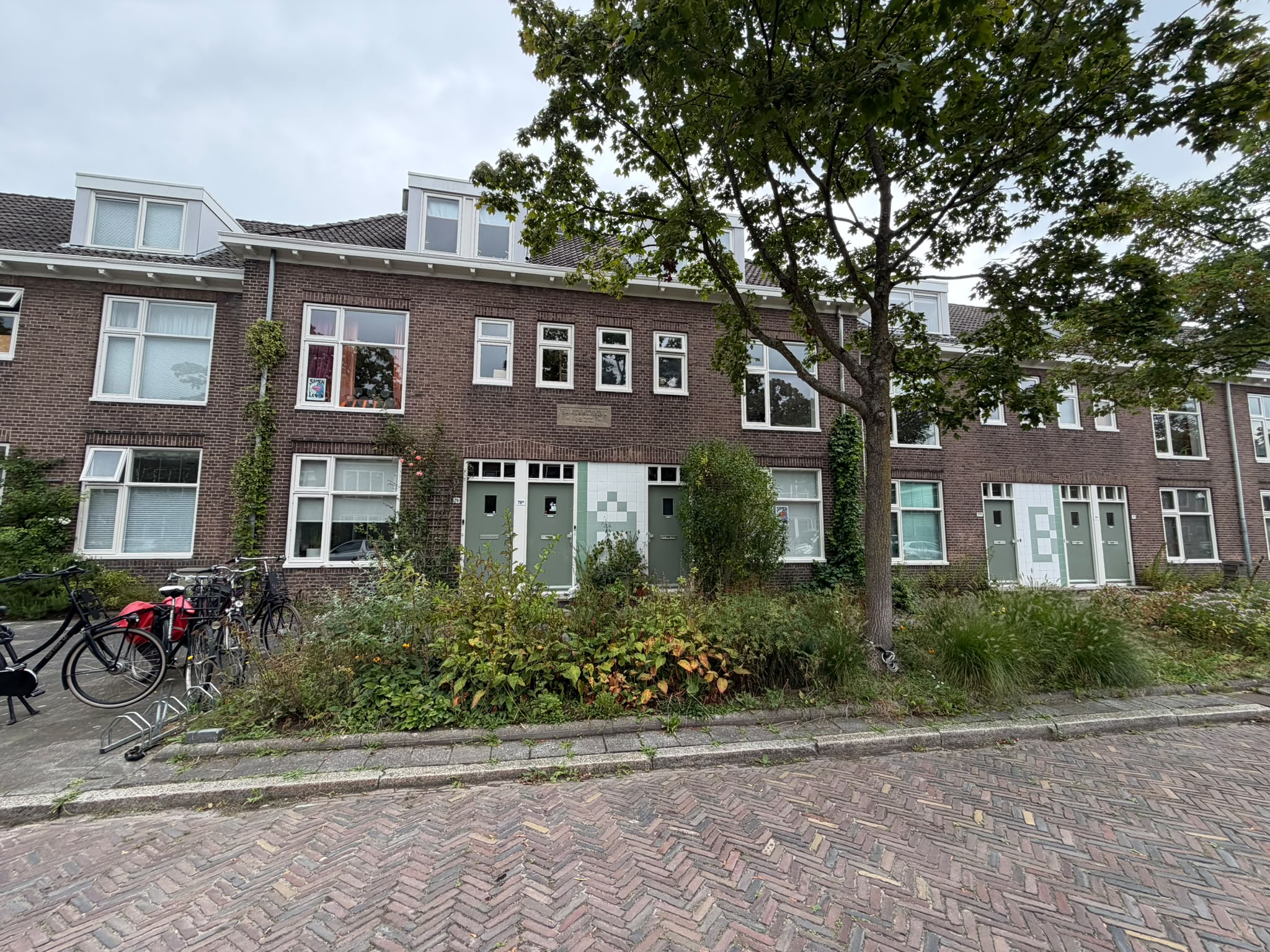 Koninginnelaan in Groningen