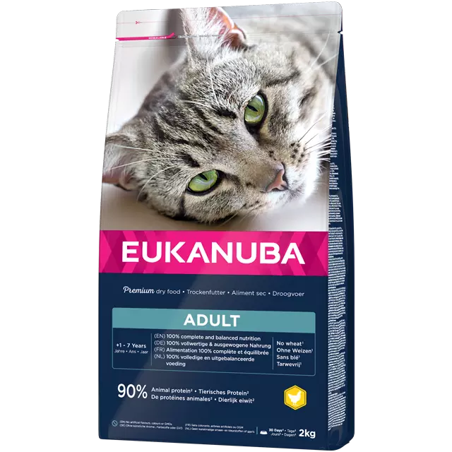 Cat Food For Sensitive Stomach