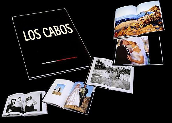 LOS CABOS - PRIVATE WEDDING BOOK FOR TONY SCOTT