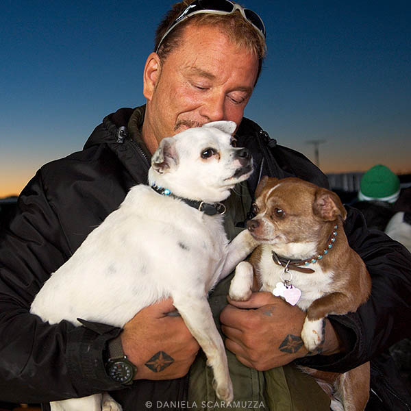 Mickey Rourke with his chihuahuas