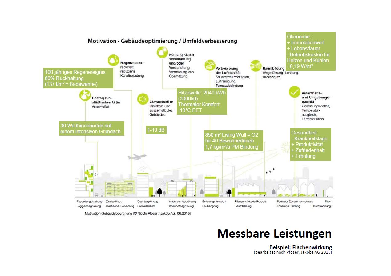 Infografik Bauwerksbegrünung