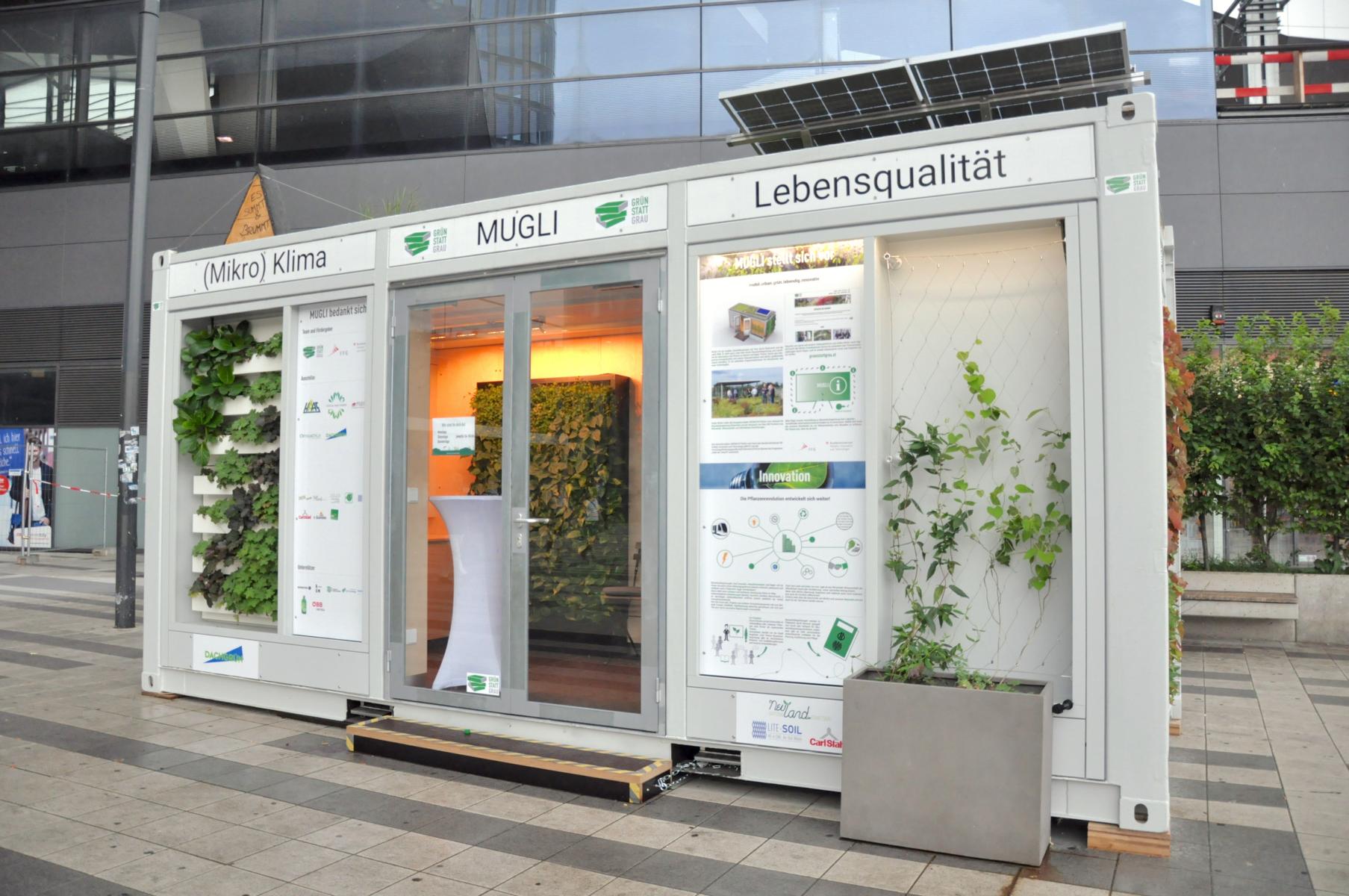 Mugli Bauwerksbegrünung