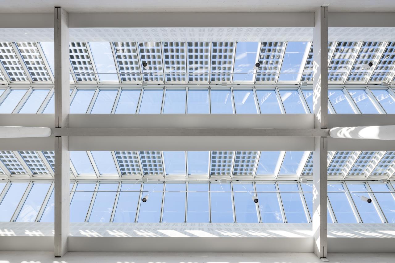 Velux Modular Skylights