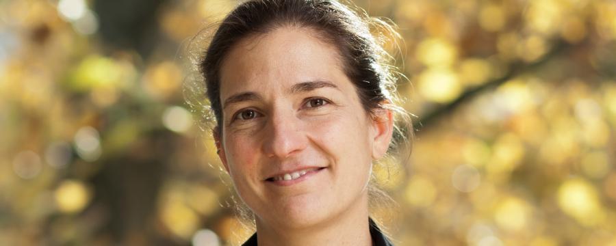 Christine Horner BIm a3bau