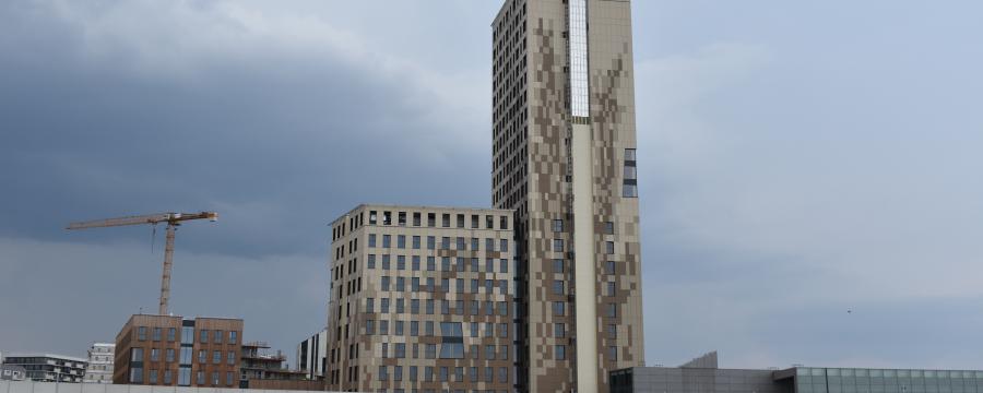 HoHo a3bau
