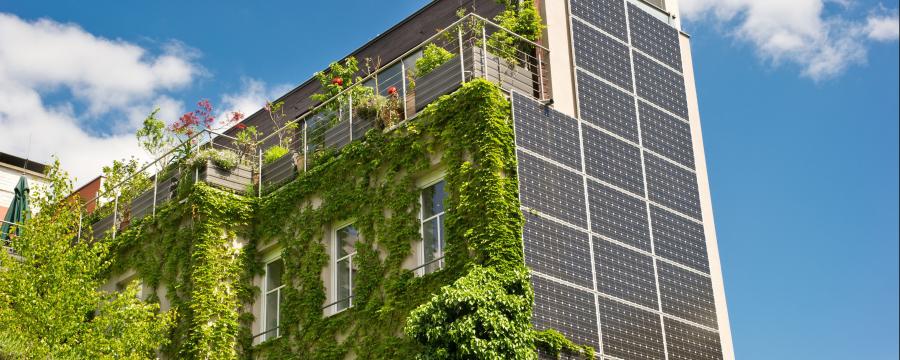 grüne Erngie a3bau
