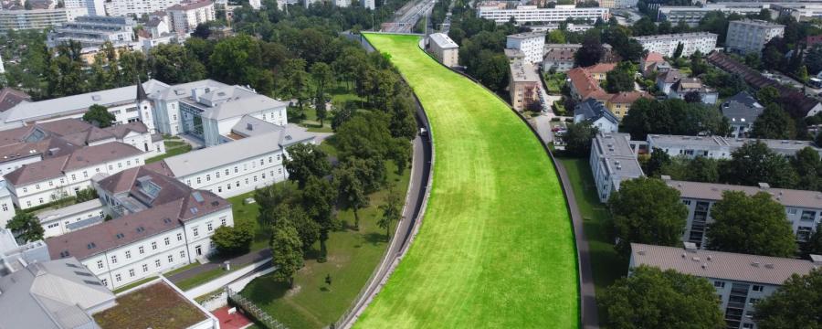 Grünfläche auf dem Autodach