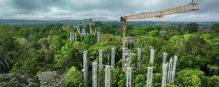 Liebherr Brasil Rainforest FACE