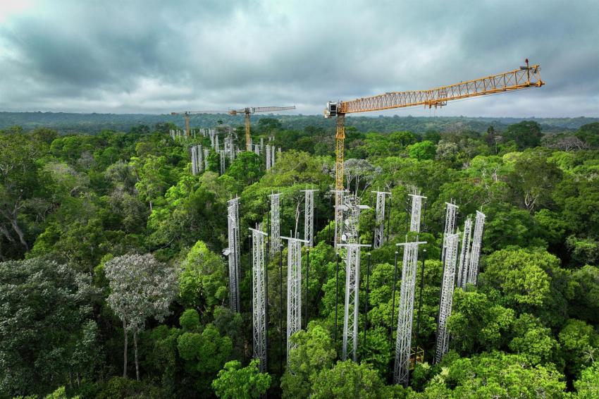 Liebherr Brasil Rainforest FACE