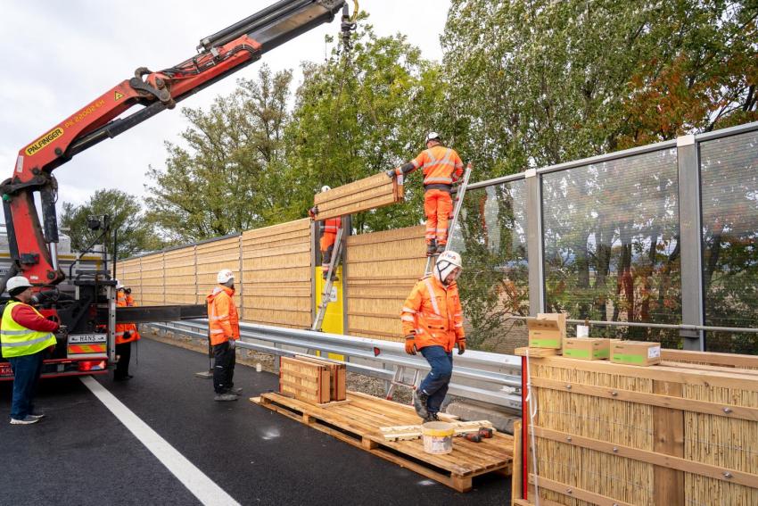 Lärmschutzwand aus Schilf, Thermoholz und Lehm an der A1 West Autobahn bei Völlerndorf