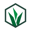 Grassroot Academy | AI Learning