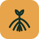 ClientRoot