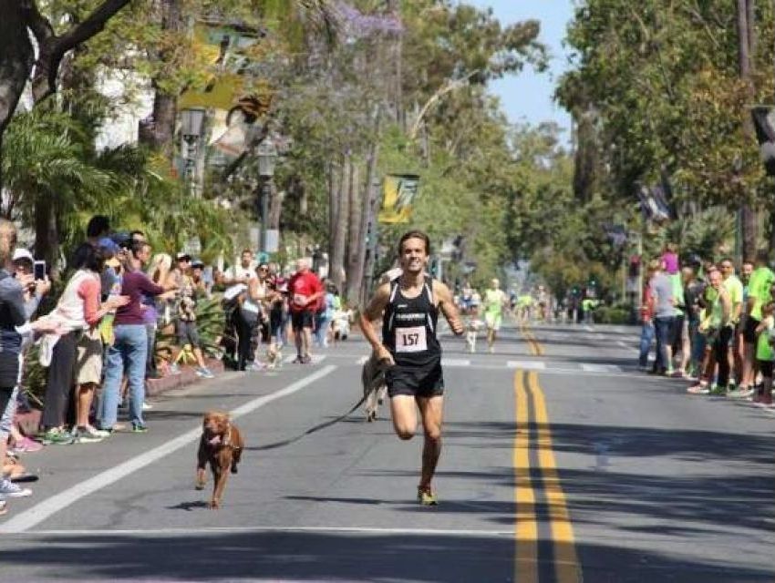 Köpekli 1 Mil Yarışında Yeni Rekor
