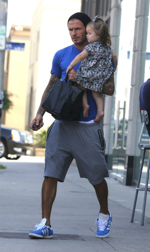 David-Beckham-Gazelle
