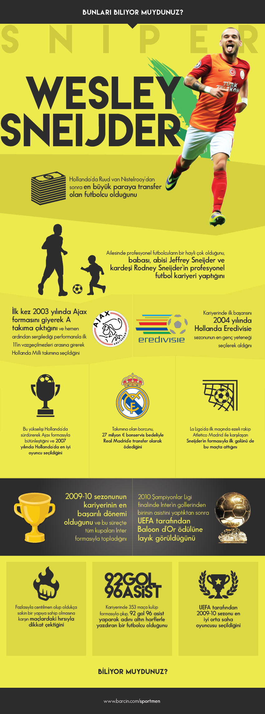 wesley-sneijder-infografik