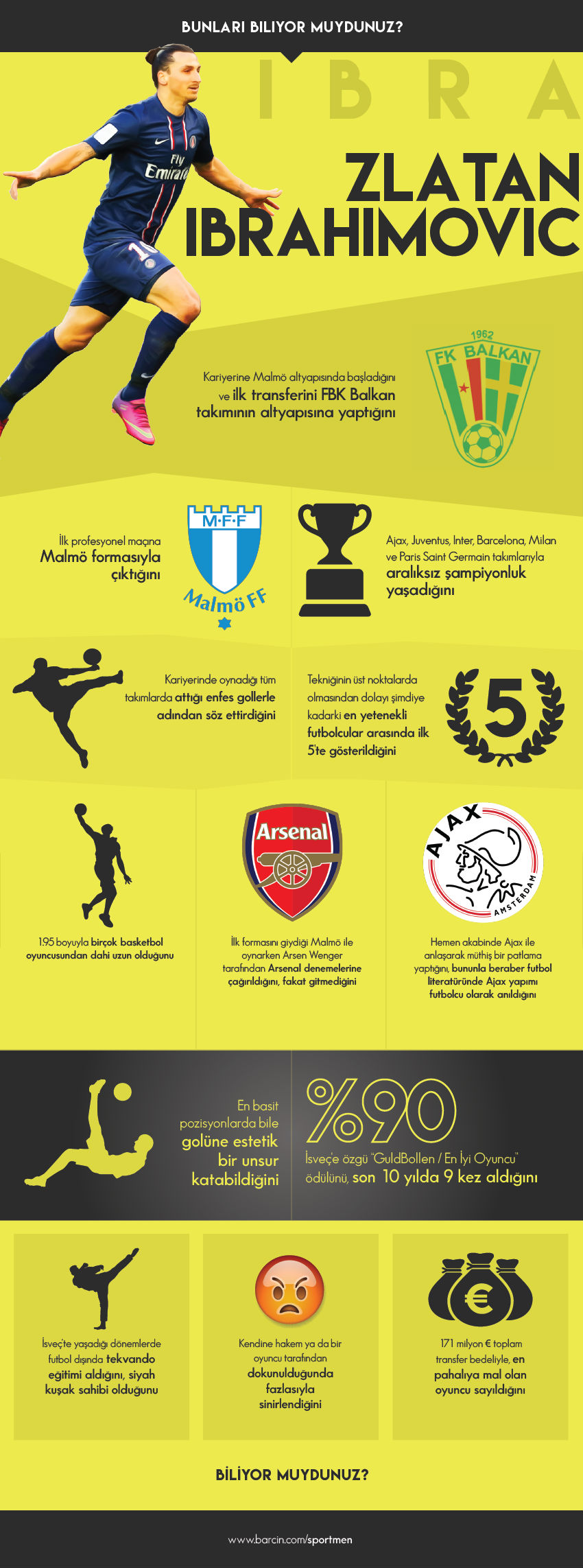 ibrahimovic-infografik