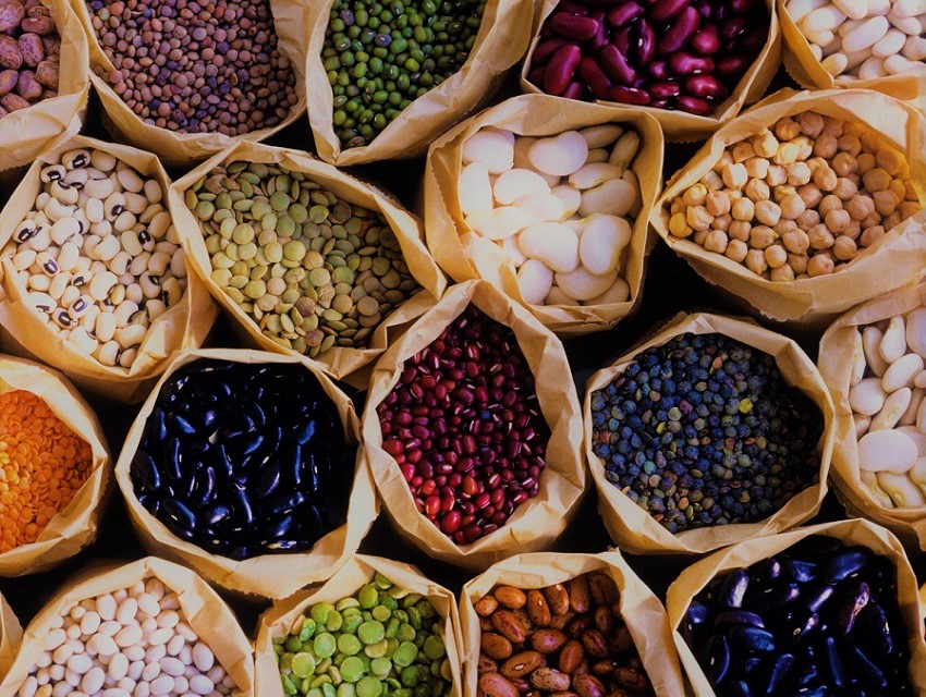 Protein Almanın Bitkisel Yolları