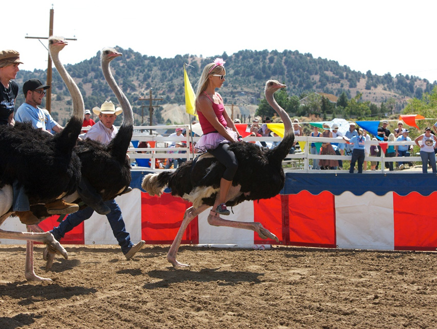 Dünyanın En İlginç 10 Sporu