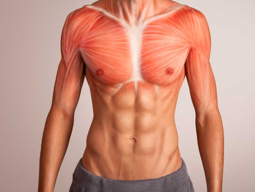 Göğüs Kasınızı En Etkili Şekilde Çalıştıracak Hareketler