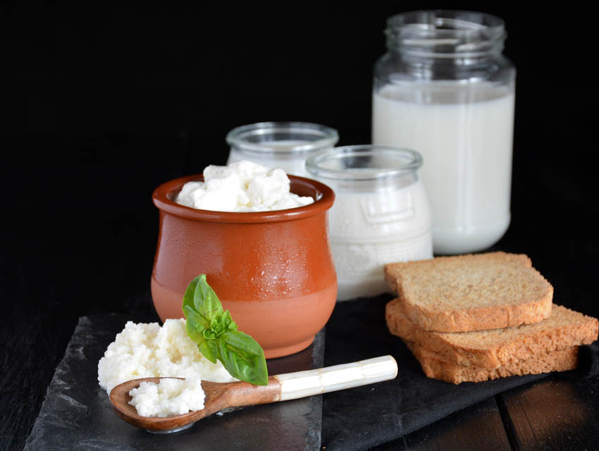 Probiyotik Beslenerek Hayatınızı Kökten Değiştirebilirsiniz!