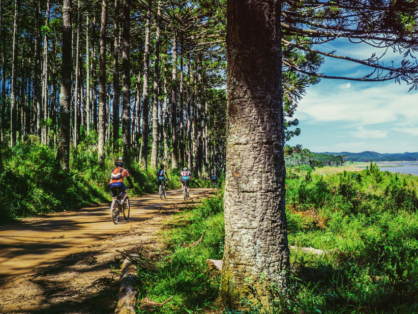 Bisiklet Sporu ve İzmir Bisiklet Rotaları