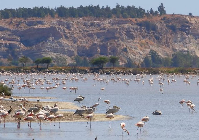 izmir bisiklet rotaları kuş cenneti
