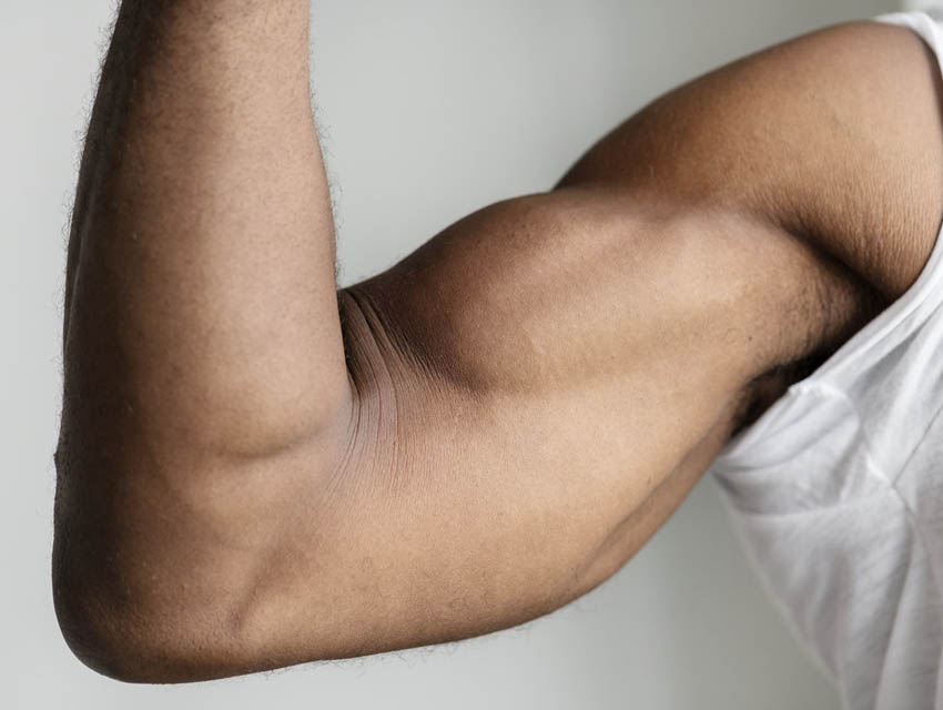 En iyi Kol Hareketleri ve Biceps Egzersizleri